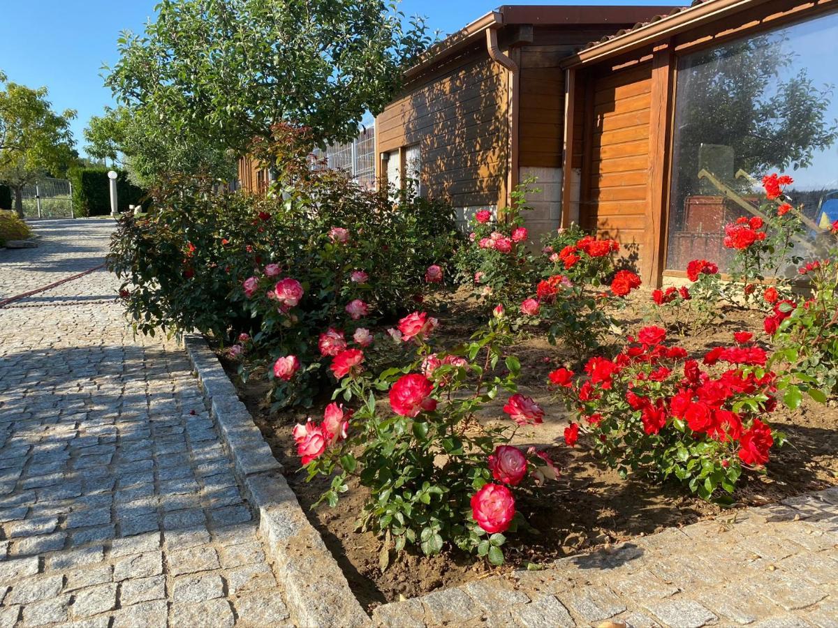 Gites Des Sablons Chatillon-sur-Marne Экстерьер фото