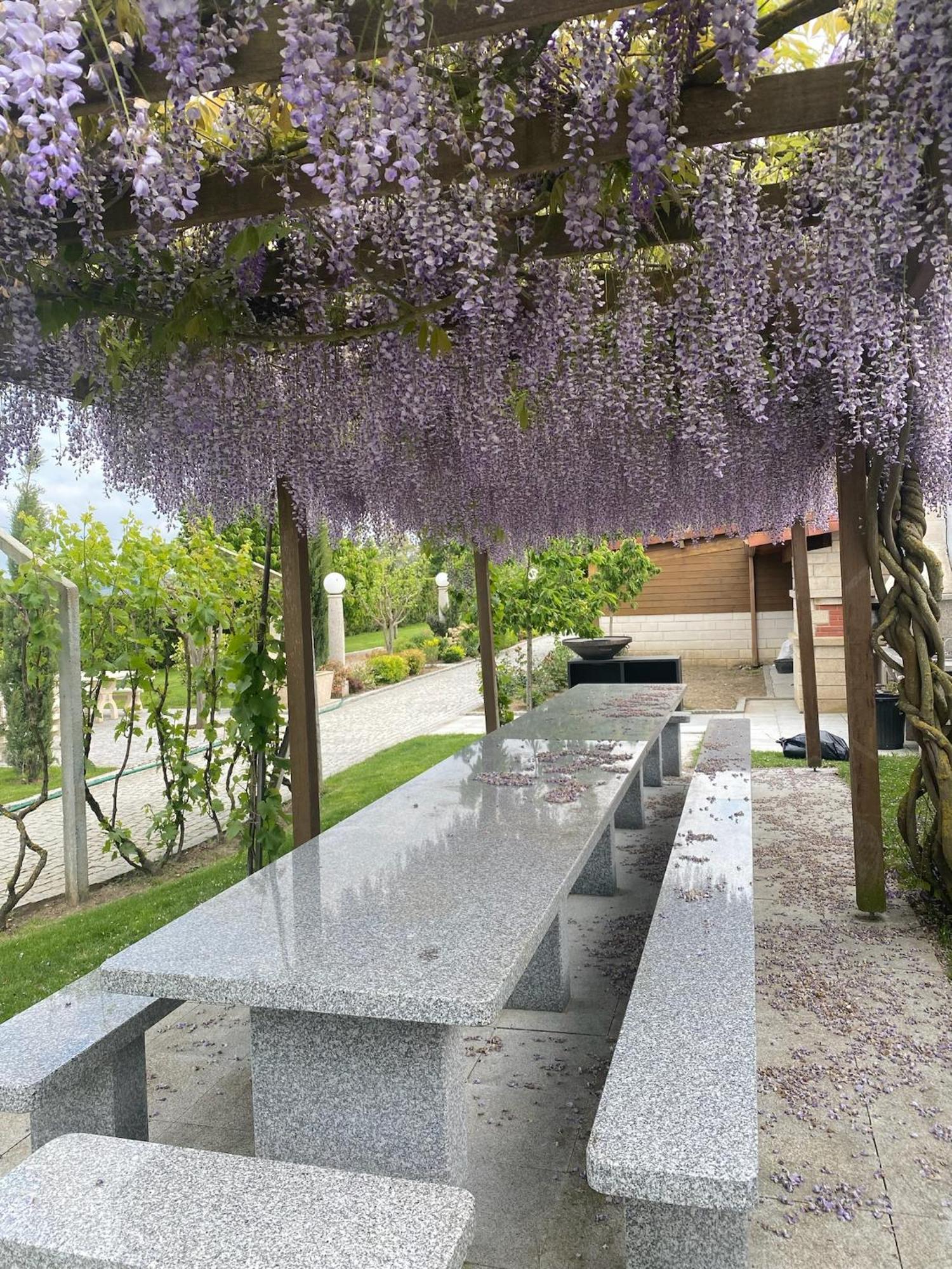 Gites Des Sablons Chatillon-sur-Marne Экстерьер фото