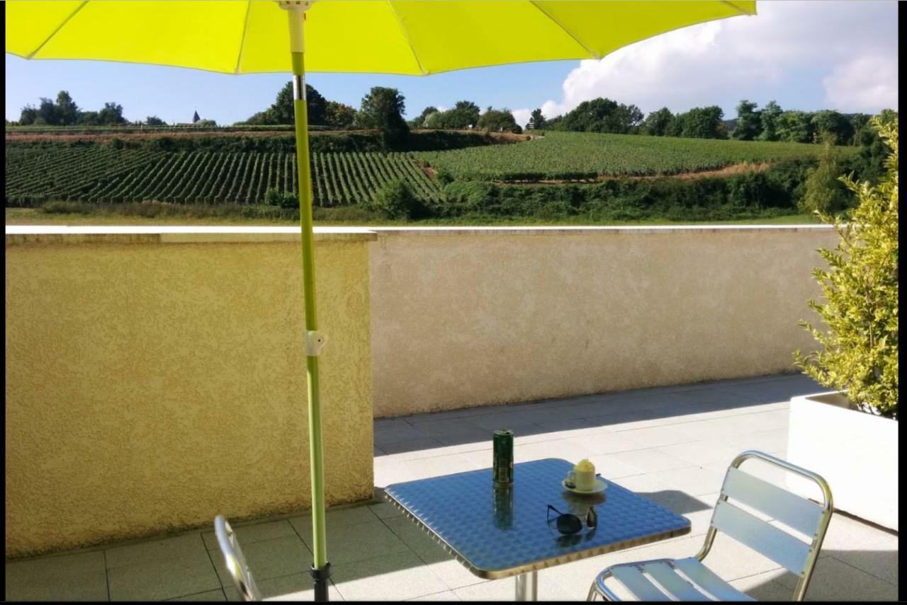 Gites Des Sablons Chatillon-sur-Marne Экстерьер фото